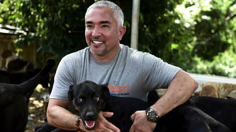 Cesar Millan - Walking with your dog is the single most