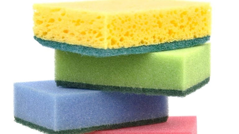 How Often Should You Replace Your Kitchen Sponge?