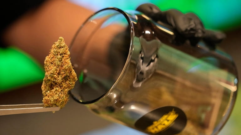 A flower bud of marijuana is prepared for customers at...