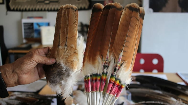 Non-eagle bird carcasses and bird feathers are stored at the...