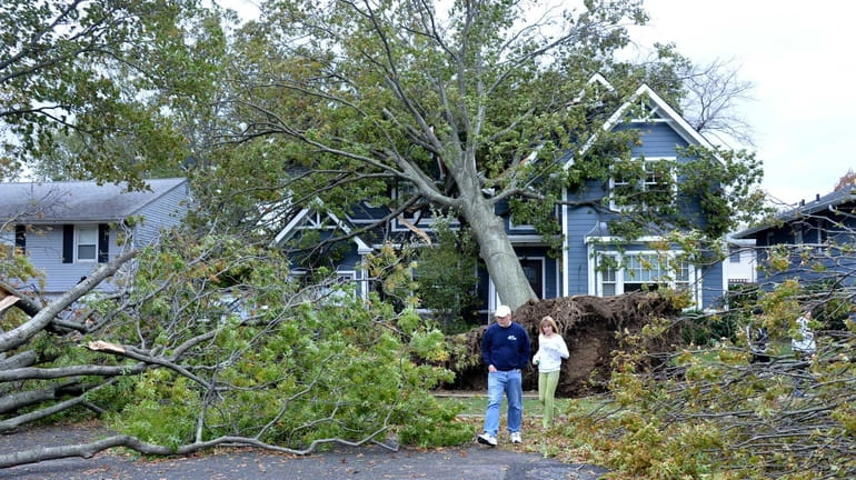 Walkers pick their way Tuesday through downed trees along Kildare...