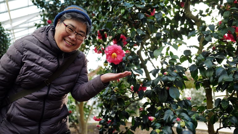 Myung Kim, of Flushing, says “it’s paradise” inside the Camellia...