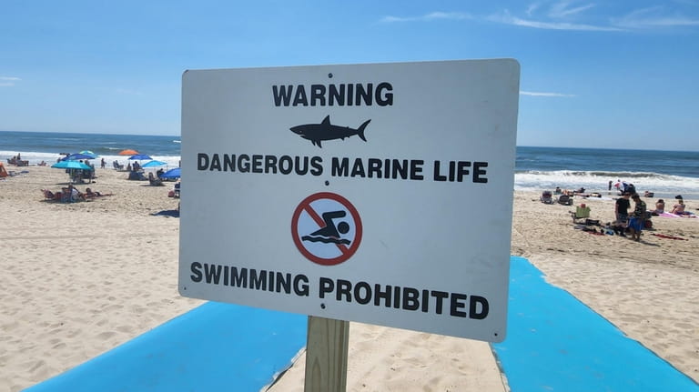 Shark bites and sightings temporarily closed several Long Island beaches...