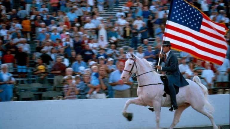 The Tennessee Walking Horse Celebration in Shelbyville, Tenn.