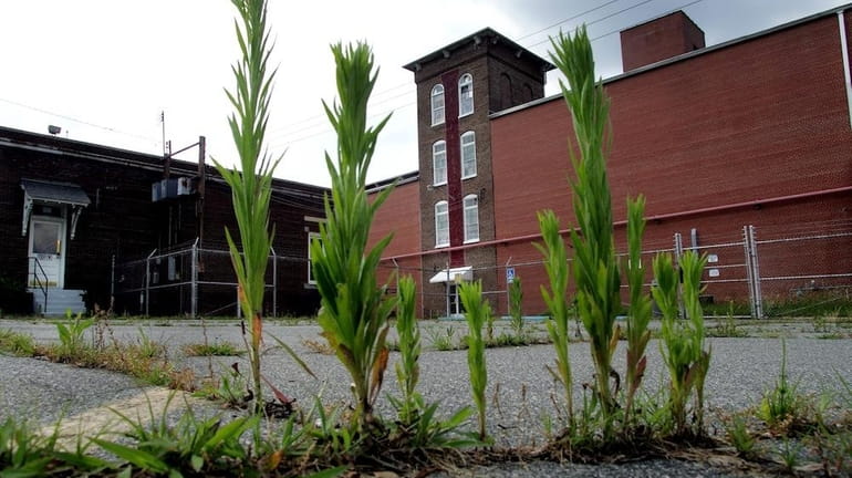 Weeds grow in the parking lot of the closed Culp...