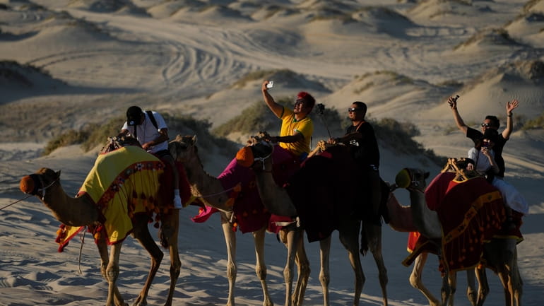 People take selfies while riding camels in Mesaieed, Qatar, Nov....
