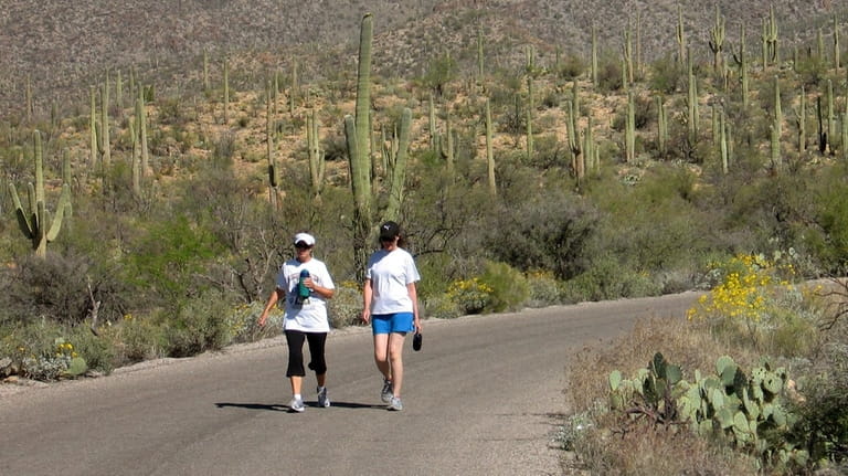 Hikers in Sabino Canyon Recreation Area just north of Tucson,...