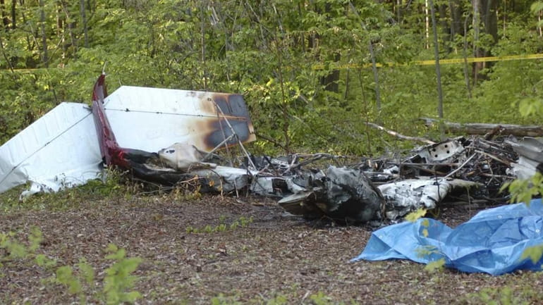 The charred debris of a private plane which crashed after...