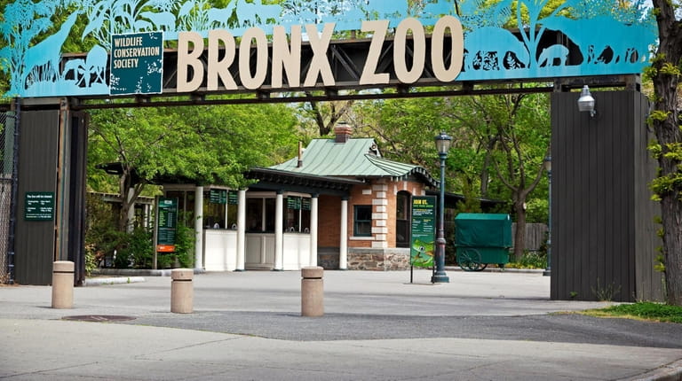 The Bronx Zoo, one of the world's largest metropolitan zoos,...