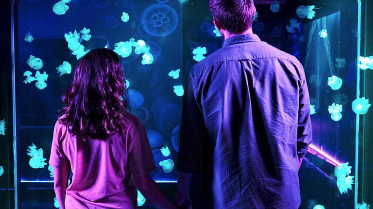 A couple examines an aquatic exhibit, one of the many...