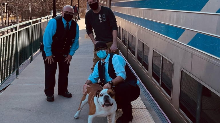 Sampson, a bulldog rescued by an LIRR train crew that found...