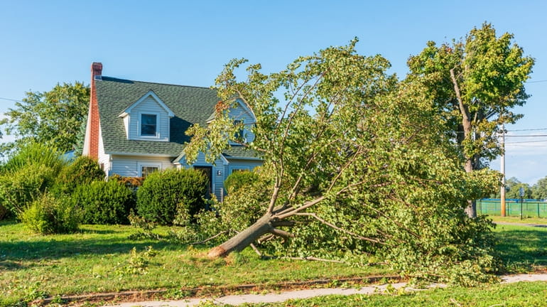 Storm damage in Mattituck after a tornado touched down Sunday. 