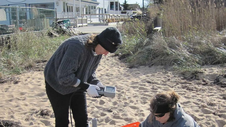 Workers in Kismet, Fire Island sample groundwater for a study...