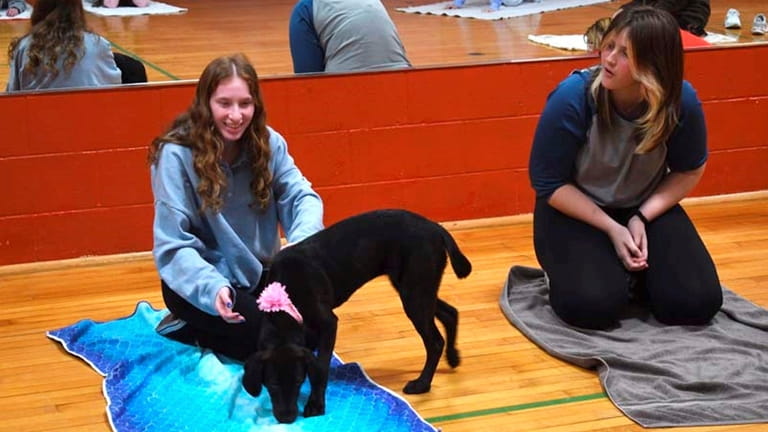 Smithtown High School East students participate in “puppy yoga” to reduce...