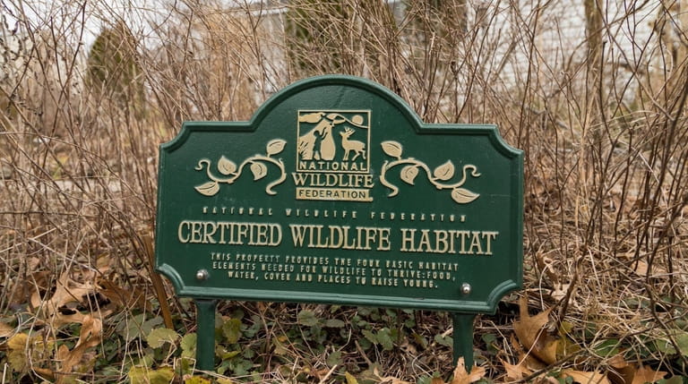 Anthony Marinello's garden is considered a Certified Wildlife Habitat by...