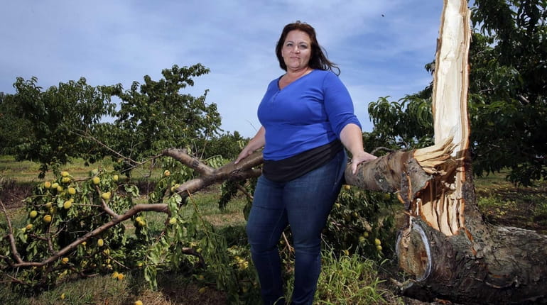 Christine Davis stands with a peach tree felled by the...