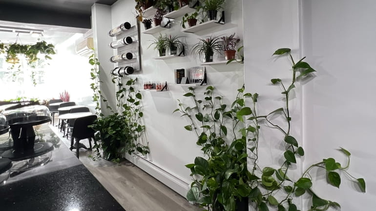 Inahales features various house plants available for purchase and a matcha...