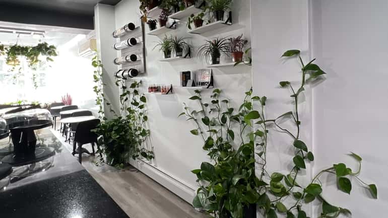 Inahales features various house plants available for purchase and a matcha...