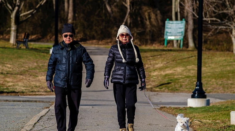 Benson and Jill Wu of Roslyn Estates walk their dog...