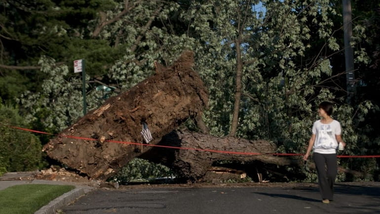 Storm damage, including fallen trees and power lines, litter the...