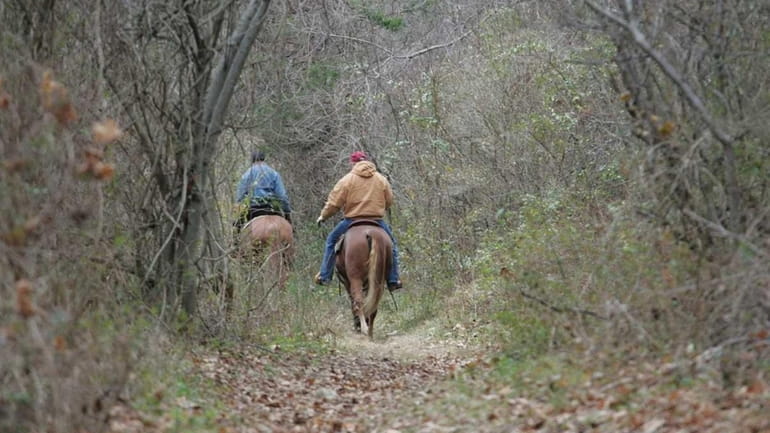Horseback riders ride the trails at the Muttontown Preserve on...