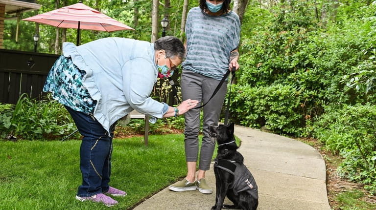 Judy Tarasek, of Positively Pet Partners, left, helps train Sophie,...