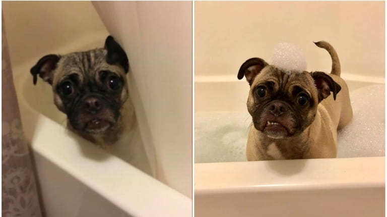 Bella, 6, enjoys a bubble bath at home, courtesy of...