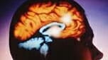 Learning of second language also seems to boost brain, study...