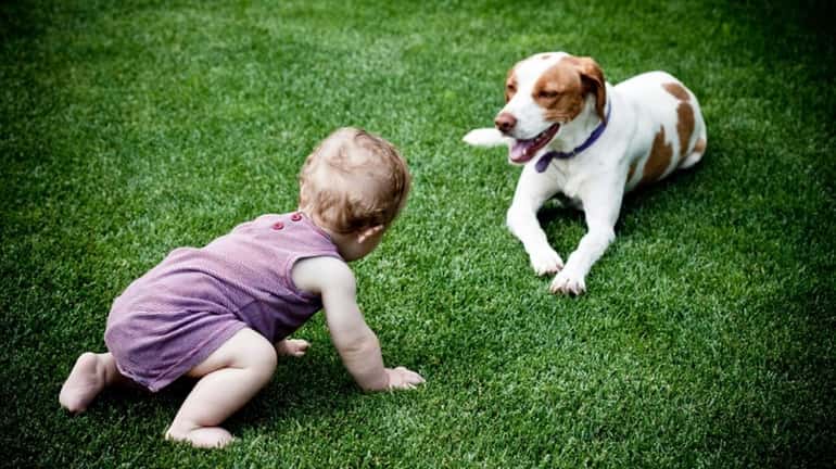 A baby plays with the dog on the lawn.