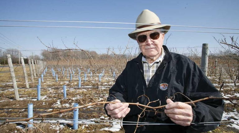 David Mudd examines new merlot grape vines at one of...