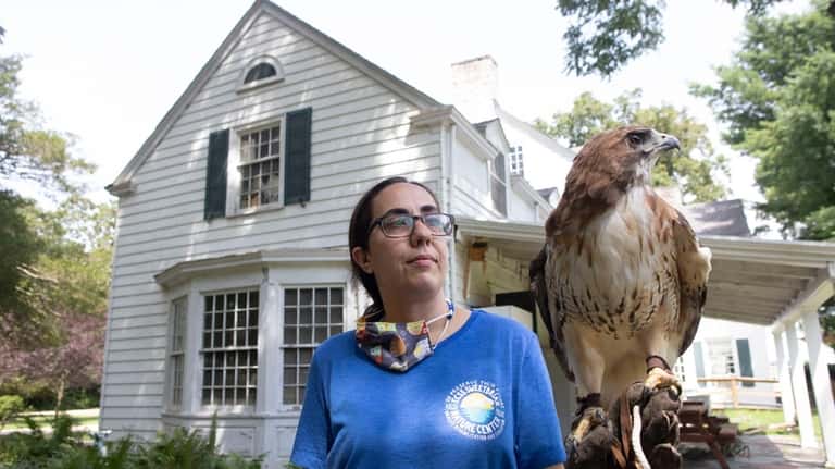 Wildlife care coordinator Isabel Fernandes holds a red-tailed hawk at...