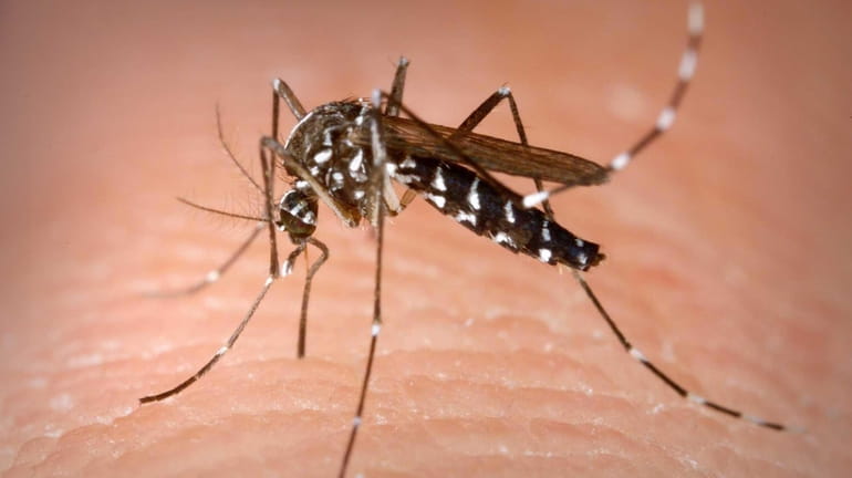 There were 28 reported cases of West Nile virus on...