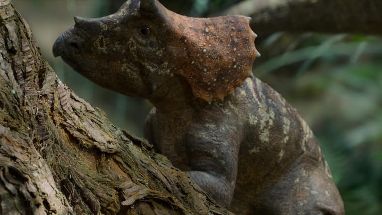  Baby Triceratops shown in “Prehistoric Planet" on Apple TV+.