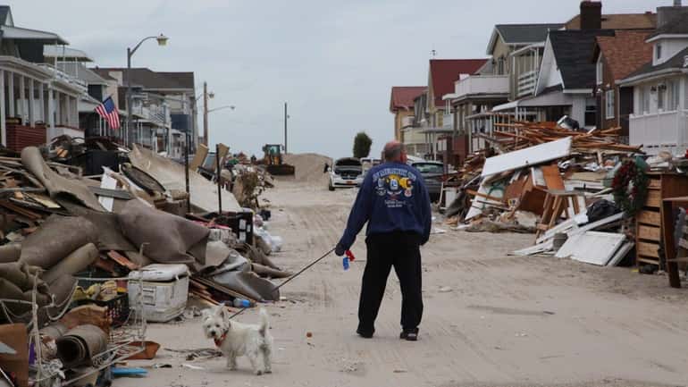 A man walks his dog among the devastation on Illinois...