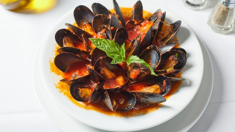 Mussels posillipo are arranged in a puddle of tomato broth,...
