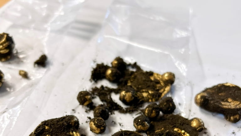 Gold treasure discovered by Erlend Bore with a metal detector...
