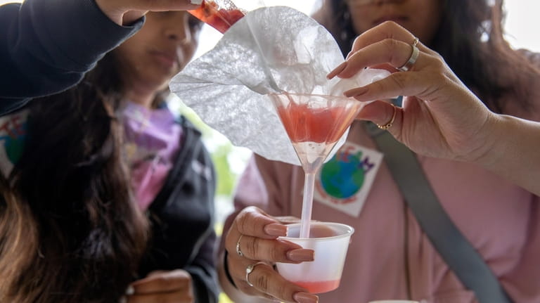 Students extract DNA from a strawberry at the Science, Technology,...
