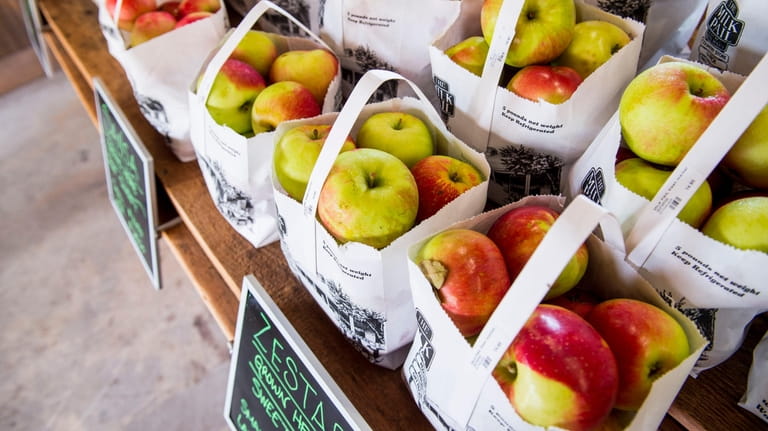 Bags of apples at the Milk Pail farm stand in...