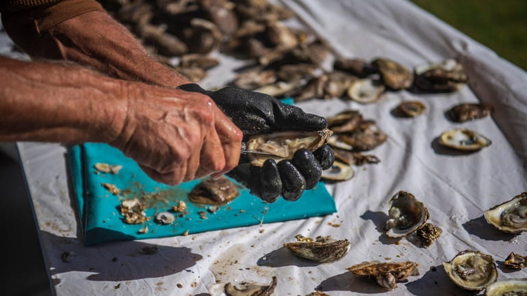 Dave Mahnken shucks oysters competitively at the 2022 Oyster Festival...