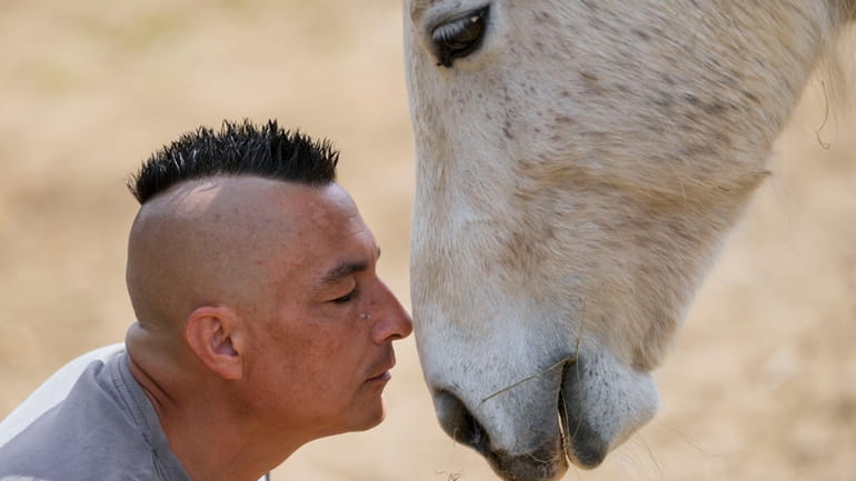 Zeljko Ilicic kisses a horse in the Old Hill, sanctuary...