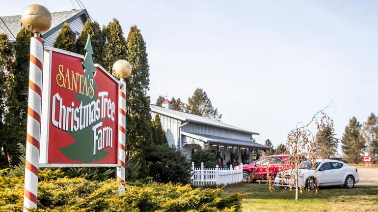 Santa's Christmas Tree Farm in Cutchogue, seen on Thursday.