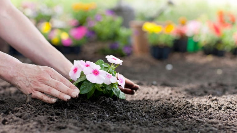 Tips and gardening chores for April. 