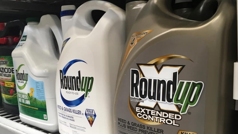Containers of Roundup are displayed on a store shelf in...