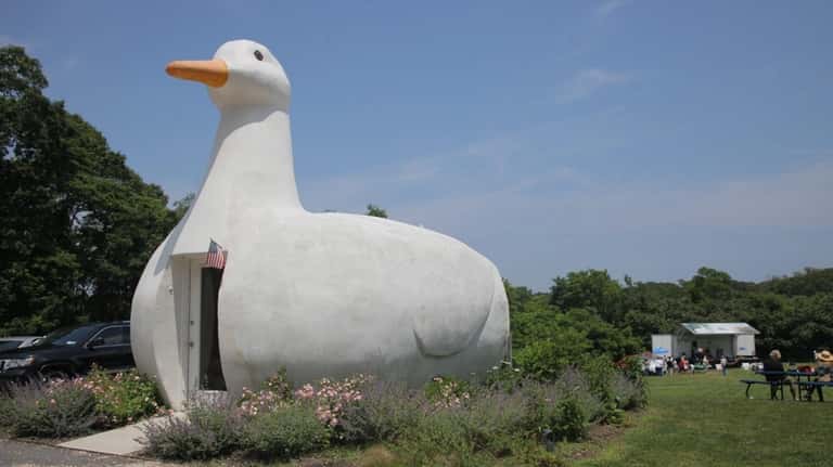 The Big Duck, in Flanders, sits in the sun.