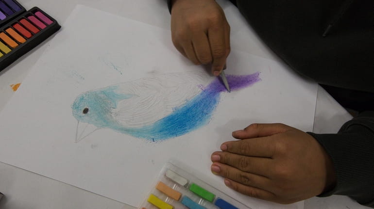 A student draws a bird during a class at Key to...