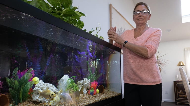 Carol Bendo, who owns an aquarium maintenance business, by her 75-gallon aquarium...