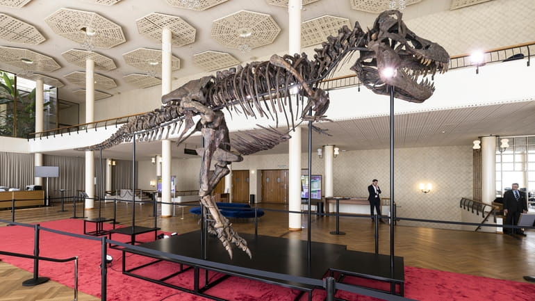 Visitors watch the skeleton of a Tyrannosaurus rex named Trinity,...
