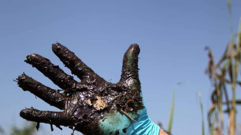 A wildlife official displays oil from a marsh found a...