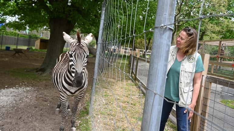 The LI Game Farm's Melinda Novak with Zypher the zebra.
