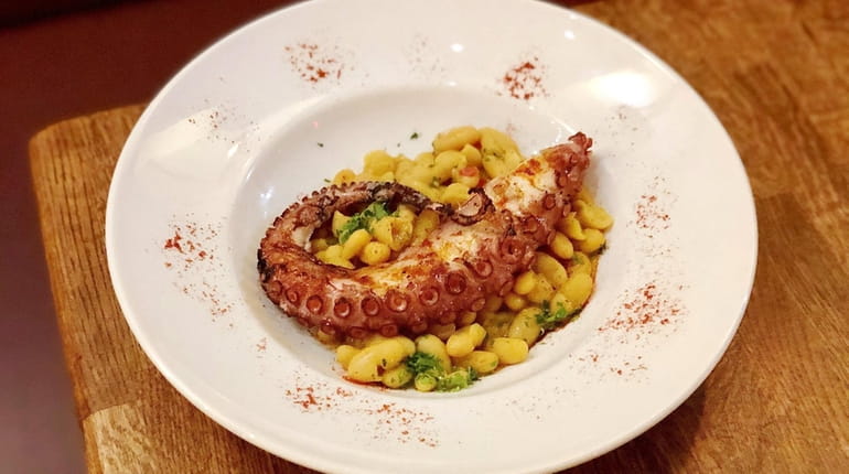 Grilled octopus with cannellini beans is one of the tapas...